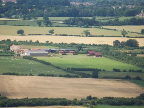 Blackthorn Gate