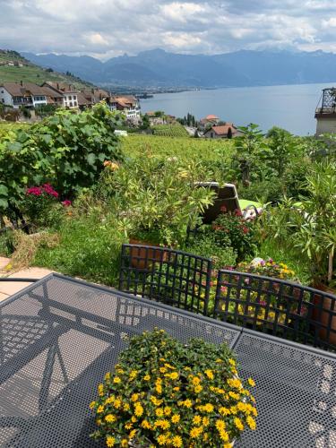 La Gremillette Gourmande Lavaux