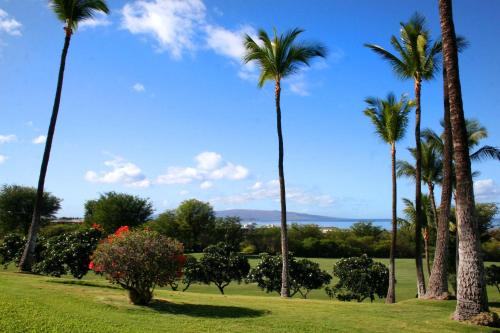 Wailea Ekolu #312 by Ali'i Resorts - image 4