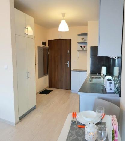 ASTORIA MAGIC GREY OLD TOWN, free parking, Cracovie (photo 4)