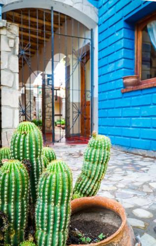 Azul Humahuaca Hostal