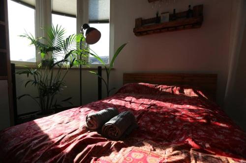 Luftiges Upcycling Studio im EG - Zentral, Berlin (zdjęcie 8)