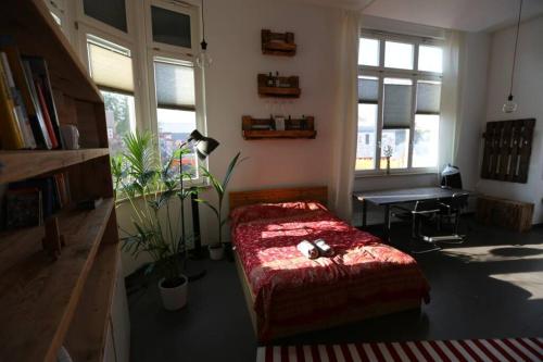 Luftiges Upcycling Studio im EG - Zentral, Berlin (zdjęcie 9)