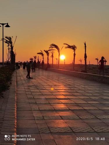 مارينا دلتا photo