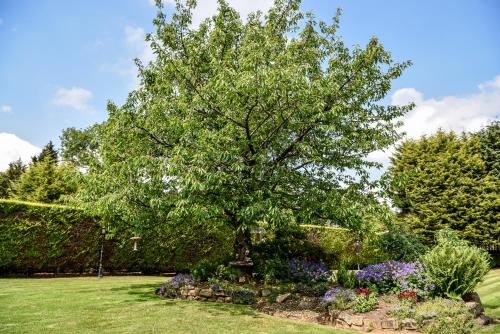 马里兰酒店 马里兰酒店