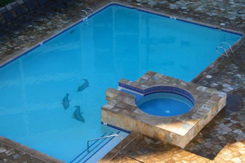 Sugar Beach Resort #130 by Ali'i Resorts - image 4