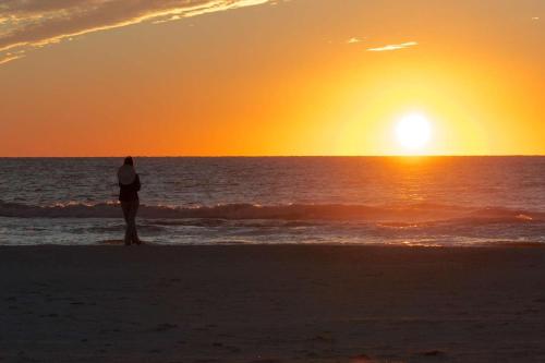 505 - Gulf Strand - image 7