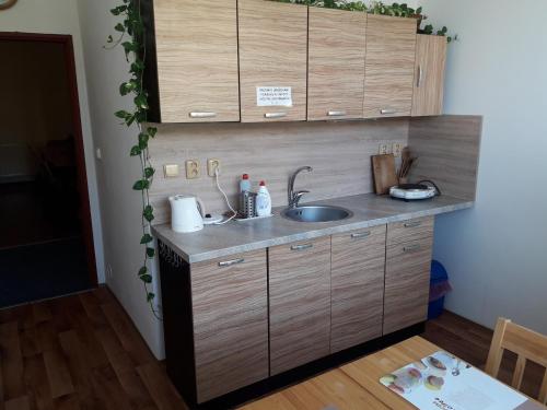 Kitchen, Penzion Koupaliste in Litomerice