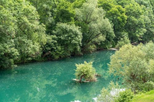 Hotel RIO VERDE - image 5