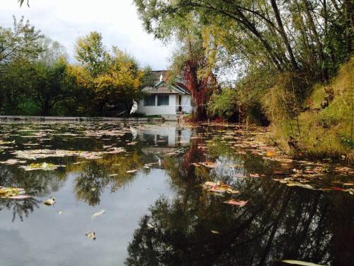 Fisherman's Cottage - Cacica