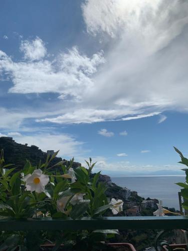 Amalfi Casamia B&B 5