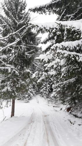 Kuća za odmor Ravna planina - image 13