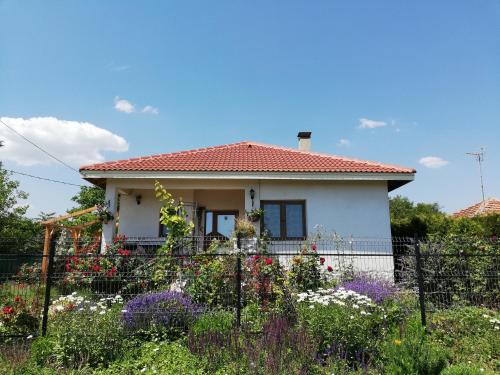 B&B Durankulak - House Albena - Bed and Breakfast Durankulak