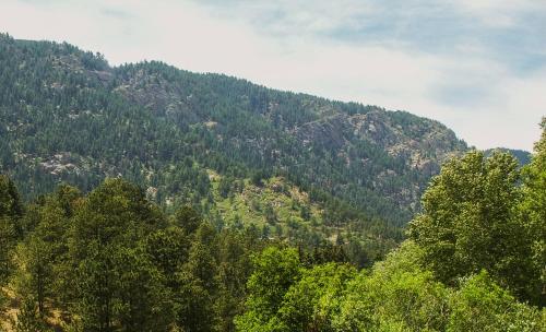Cascade Mountain Stream - image 3