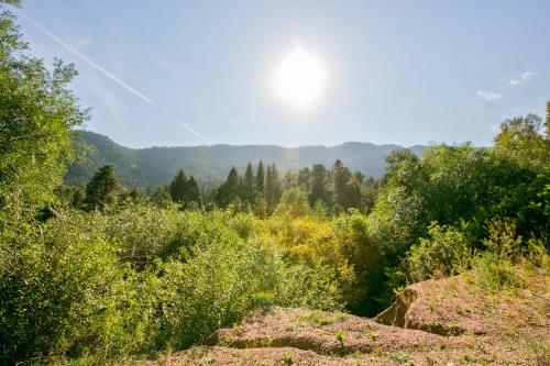 Cascade Mountain Stream - image 12