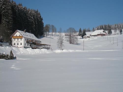 Gasthaus Pension Donishäusle