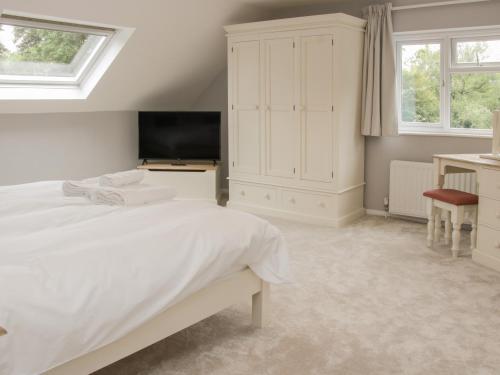 The Big Dingle - main image