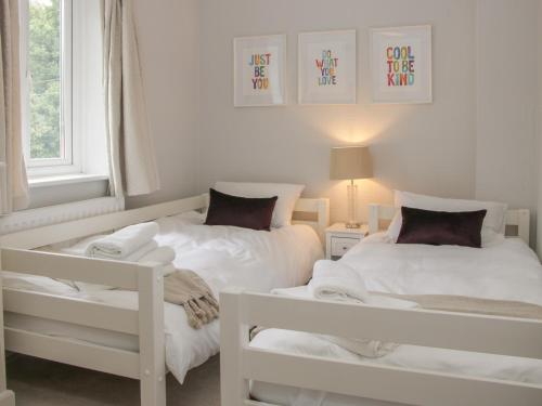 The Big Dingle - image 7