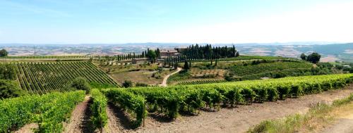 Colle al Matrichese - Historic Winery 4