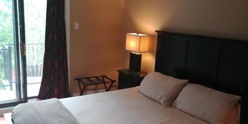Backpacker Student near McGill University - Entire One Bedroom Studio Suite w Private Bathroom