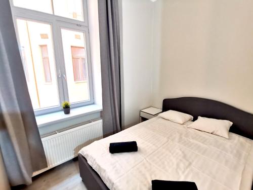 Lacplesa Downtown New 2-bedroom Apartment, Riga (fotografie 7)