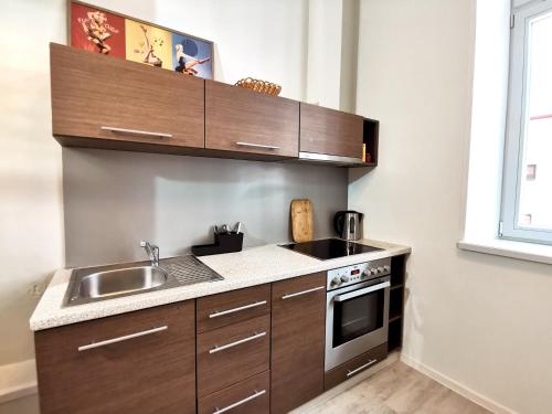 Lacplesa Downtown New 2-bedroom Apartment, Riga (fotografie 10)