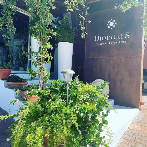 Diodorus Luxury Experience