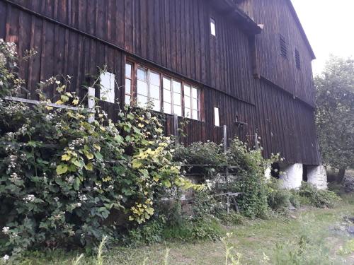 Kert, Pokoje Gościnne Thank You Life, Apartament 2 Forest For Rest (Pokoje Goscinne Thank You Life, Apartament 2 Forest For Rest) in Walbrzych