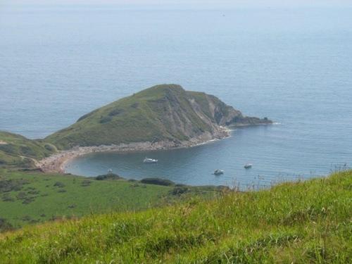 View, Frome Dale in Wool