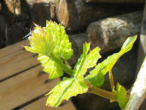 Das Gästehaus in Valwig - image 14