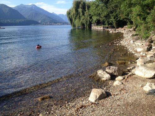 LAKE ORTA OPENSPACE garden beach