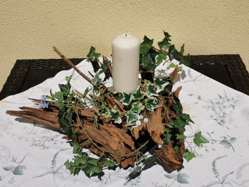 Ferienwohnungen Thalmeier - image 5