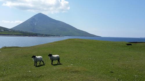 Közeli látványosságok, The Valley House in Achill Island