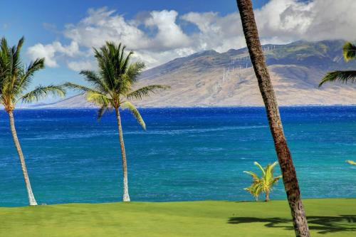 Kihei Surfside #311 by Ali'i Resorts - image 13