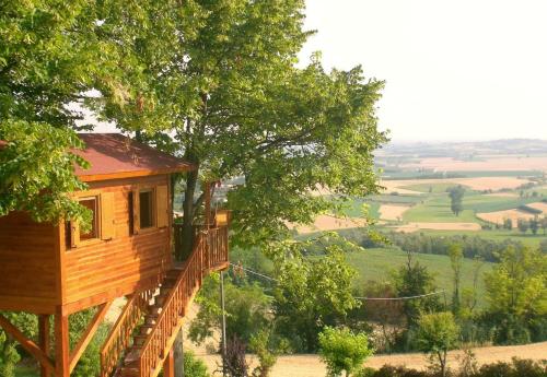 Casa sull'Albero Aromantica - San Salvatore Monferrato