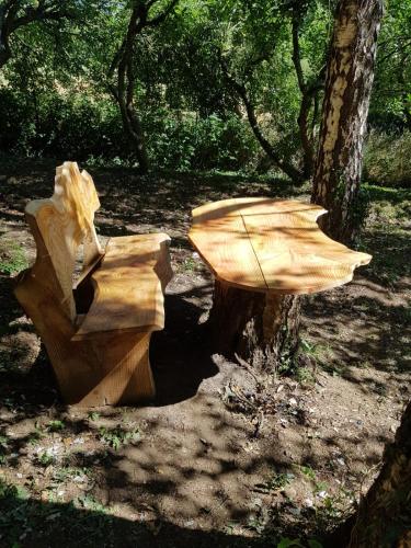 Retraite rustique en bordure de forêt à la campagne