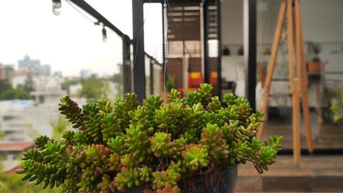 Loft REMEDIOS - penthouse CDMX - áreas comunes compartidas in Mexico City, Mexico