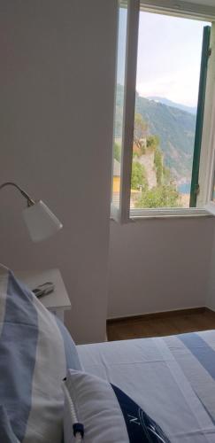 Affittacamere Il Timone