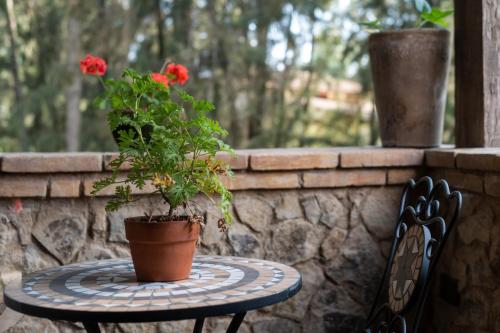 264932174 Villa Toscana ValQuirico Lofts & Suites Hotel Boutique