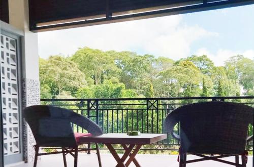 Surrounding environment, hotel de danau lake view in Bedugul