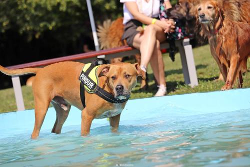 Petneházy Club Hotel Superior - image 14