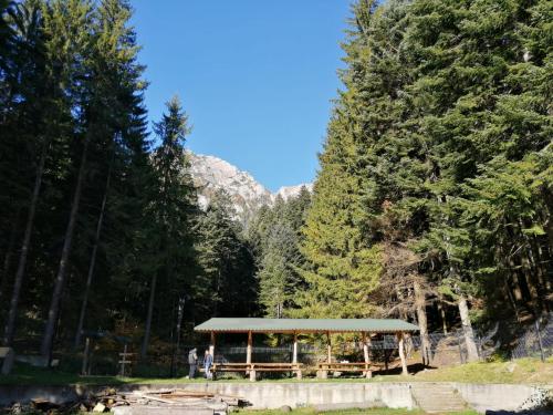 HOSTEL CPPI Nord in Busteni