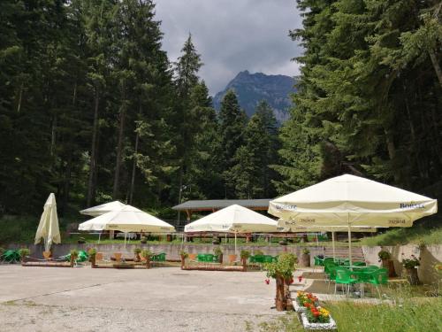 HOSTEL CPPI Nord in Busteni