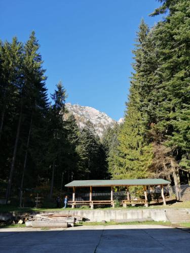 CPPI Nord - image 9