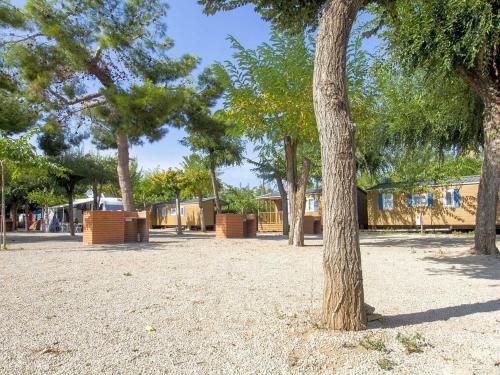 Camping l'Alqueria — photo 5