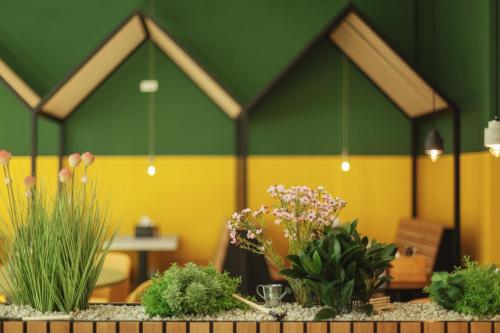 the niu Dwarf - image 3