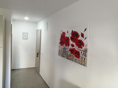Studio Istra