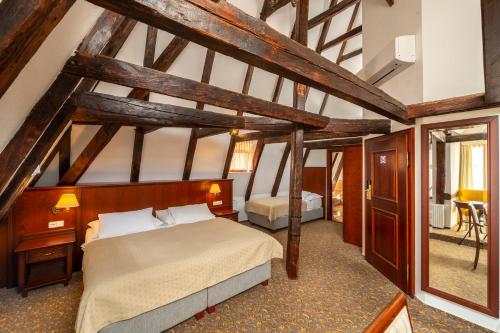Hotel Cerny Slon - image 7