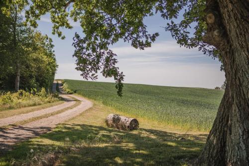 Hotel Sonnerupgaard Manor - image 10