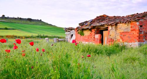 Casa Abuela Nila